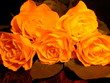 5 roses jaunes en pyramide