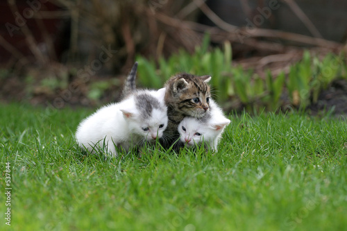 Photo: out in the big world out in the big world