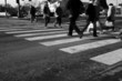 crossing crossing