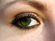 oeil vert de jeune femme
