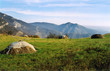 grassland in crimea grassland in crimea
