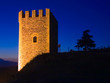 watchtower and tree at night
