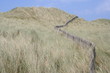 la barrière des dunes