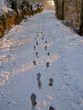 traces de pas dans la neige