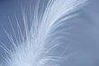 softness