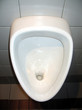 white urinal