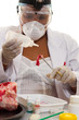 Photo: food science food science