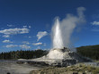 yellowstone castle geyser