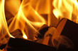 Foto: flames #42 flames #42