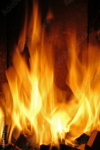 Foto: flames #44 flames #44