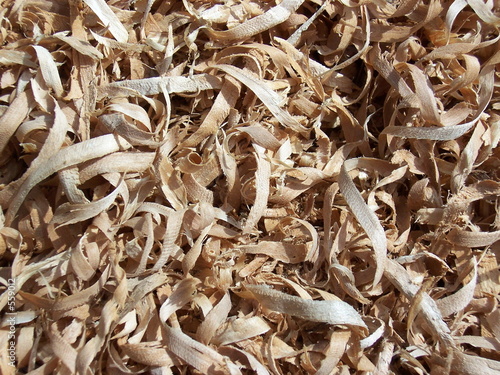 sciure de bois