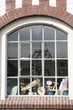 spiegelbilder