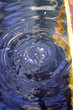 Foto: waterdrop #2 waterdrop #2