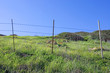 old fence and green fields with deep blue sky old fence and green fields with deep blue sky