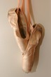 chausson rose