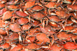 cooked crabs