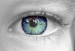 oeil