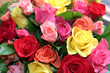 roses