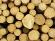 stacked logs