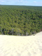 dune et forêt landaise