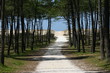 vers la plage vers la plage