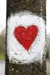 painted love heart
