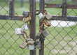 locked