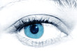mon oeil