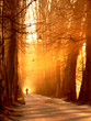 Gold Walker