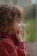 kleiner junge am fenster