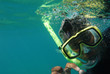 diver/plongeur