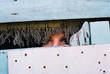 regard