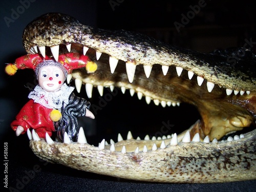 Photo: gator/clown gator/clown