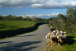 paysage de catalogne