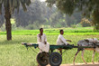 travailleurs dans le delta du nil en egypte travailleurs dans le delta du nil en egypte