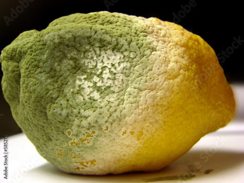 verschimmelte zitrone