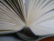 gutes buch
