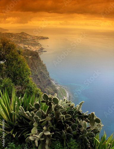 madère  belvédère cabo girao