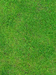 grass 4