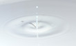 lait 004