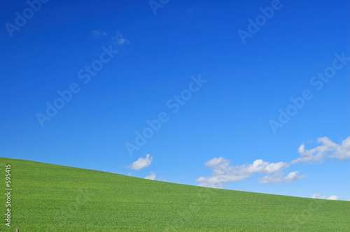 spring field spring field