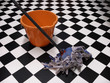 cleaning