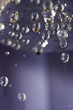 dripping shower head dripping shower head