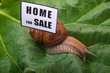 home for sale