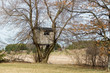 horizontal image of a treehouse