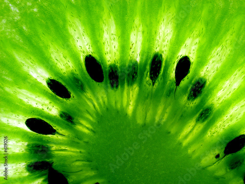 kiwi