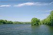 suwannee river