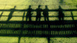 shadows