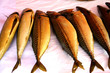 makrele makrele