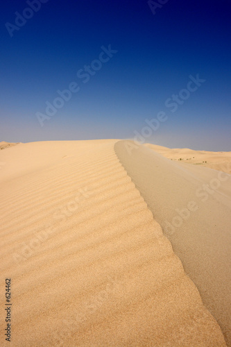 sahara 099